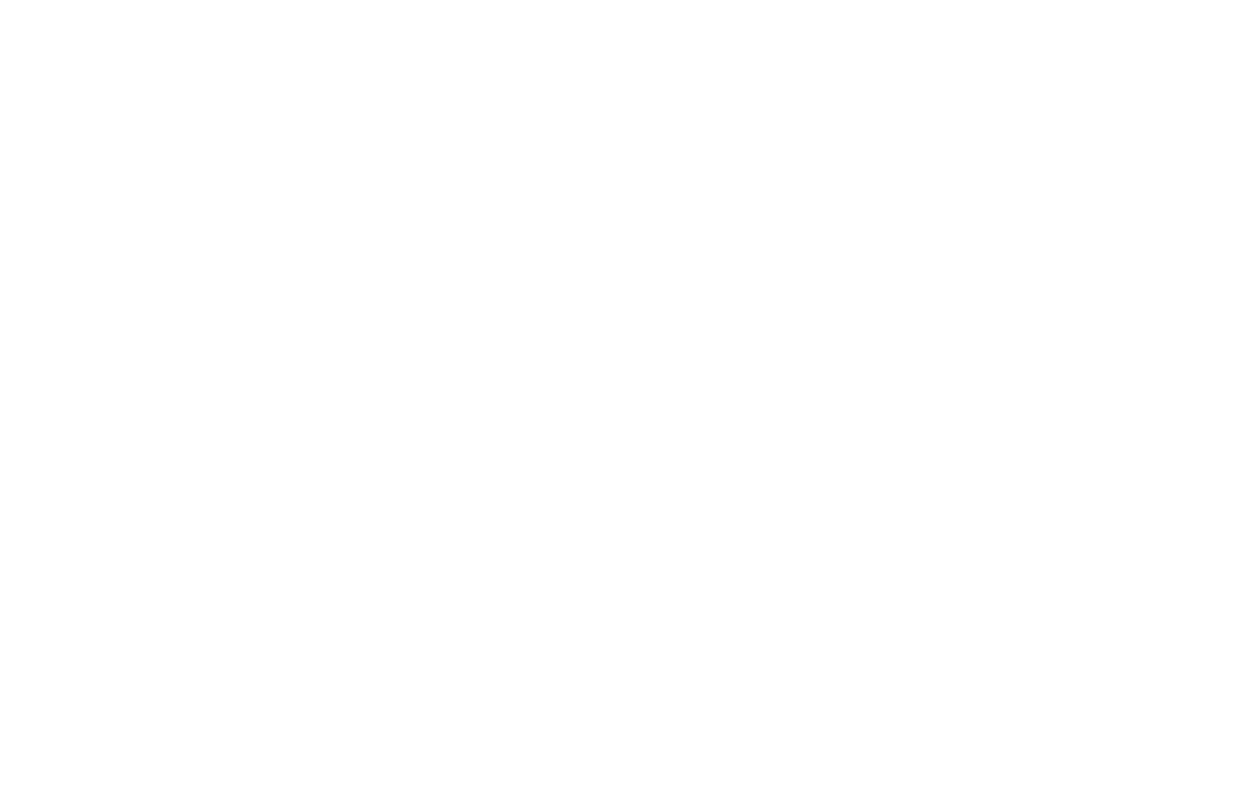 Logo Viva Schweiz Transparent