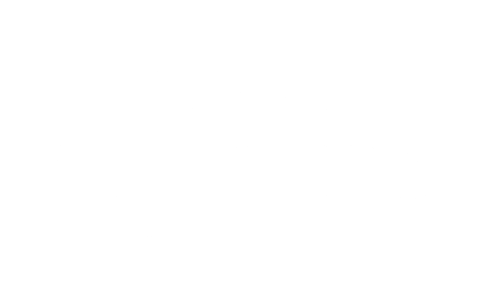 Logo Viva Zug Transparent